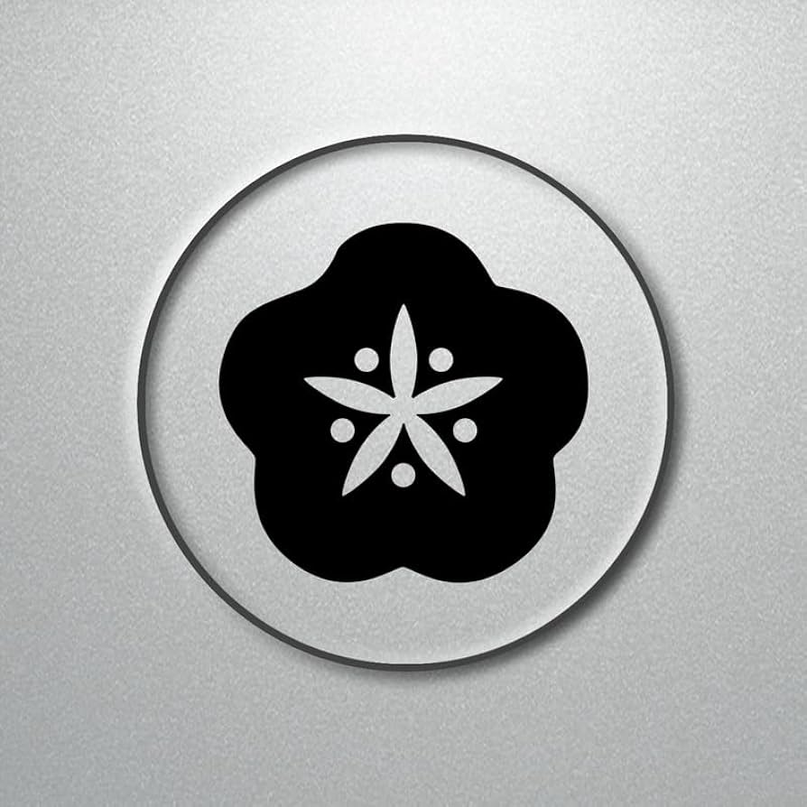 【ゆき】リクエスト分カッティングステッカー 黒色10枚 カッティングステッカー【雷樹▽⚡️】4カラー（ホワイト